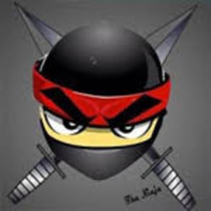 Ninja.IO